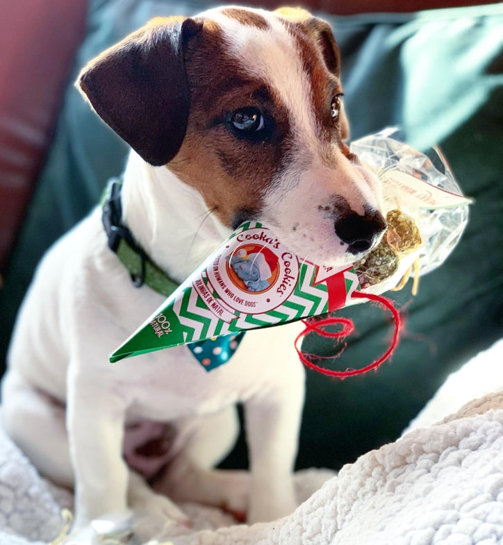 Biscuits de Noël