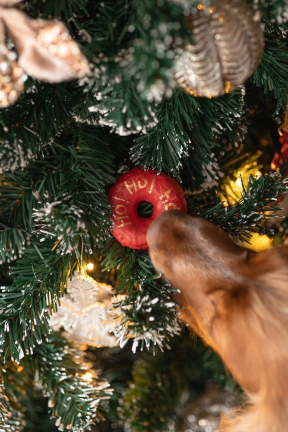 Biscuit Donut de Noël